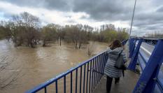 Vista del río Jarama bajo la A2 a la altura de la localidad de San Fernando de Henares, este viernes.