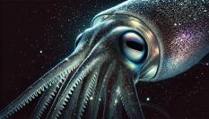 Ilustración digital realizada mediante IA.