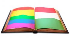 Ilustración con la bandera arcoíris y la húngara.