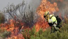 Un brigadista ante una lengua de fuego procedente del Incendio forestal que afecta a Puercas (Zamora), en la Sierra de la Culebra, este martes.
