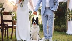Adorable golden retriever con una corona de flores en una boda