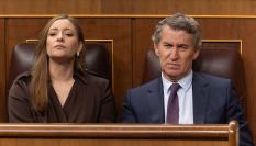Núñez Feijóo gesticula en una sesión de control al Gobierno en el Congreso