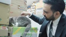 Zohran Mamdani acaricia a un gato en una tienda 24/7 de Nueva York.