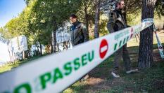 Agentes forestales cierran el paso en una zona de Cataluña con jabalíes