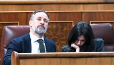 El líder de Vox, Santiago Abascal, y la portavoz parlamentaria en el Congreso, Pepa Millán; en una imagen de archivo en el hemiciclo.
