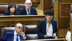 La portavoz del PNV, Maribel Vaquero, durante su intervención en la sesión de control al Ejecutivo
