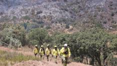 Personal de extinción de incendios, en el registrado en Huelva (Andalucía) en junio de 2026.