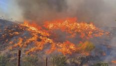Vista del incendio de Los Gallardos (Almería), en sus inicios, en la tarde del 9 de julio de 2026.