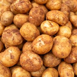 Un veterano agricultor avisa a los que comen patatas así: "Produce diarreas, vómitos y dolores de cabeza"