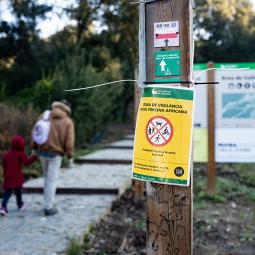 Jordi Serra-Cobo, biólogo: "Si cazamos jabalíes, llegarán de otros lugares, hay que evitar que les sea fácil encontrar comida"