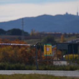 Cataluña acuerda con el sector sacrificar 30.000 cerdos sanos cerca del foco de la peste porcina