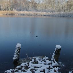 Elsa, fotógrafa, nada en gélidas aguas para una competición: "Me ha curado, me da fuerza y revela mi coraje"