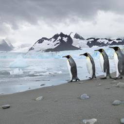 Henrik, viajero empedernido, ha visitado más de 400 islas del mundo y sentencia que esta es la mejor: "Uno de los últimos lugares verdaderamente salvajes de la Tierra"