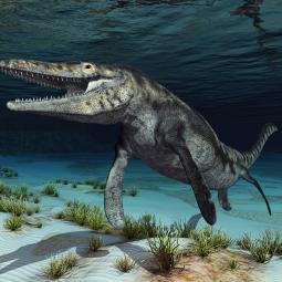 13 metros de largo y dientes de sierra: el colosal hallazgo del nuevo 'T-Rex' marino que reescribe la paleontología