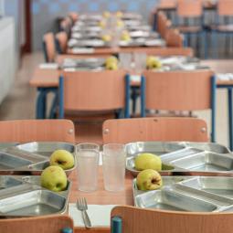 Consumo excluirá ultraprocesados y bebidas con azúcar añadido de desayunos y meriendas en los centros educativos