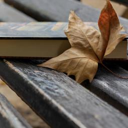 El bibliotecario invisible de Buenos Aires: un taxista lleva 40 años dejando libros de Borges o Neruda en los bancos de la ciudad con una nota sin firmar