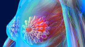 Paula Aristizabal, 29 años, bioquímica, fabrica hasta 300 réplicas 3D de tumores de mama para probar fármacos en días en vez de meses: "En cáncer, ese tiempo puede ser la diferencia entre la vida y la muerte"