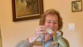 La historia detrás de Ritcher, el mono que fue criado con biberón y que se ha vuelto viral, como Punch: "Está feliz, está contento"