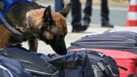 Un perro de aduanas se niega a acercarse al camión y los agentes revelan un delito oculto en la comida para canes