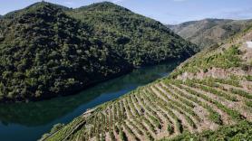 Arranca el plan de construir el puente colgante peatonal más grande de España: puente tibetano de 1,5 millones de euros