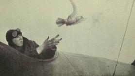 La ciencia lo confirma: las palomas mensajeras tienen la capacidad de aprender socialmente cuáles son las mejores rutas para volar a casa