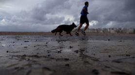 "Me habría arrepentido toda la vida si no lo hubiera hecho": deja toda su vida atrás con 43 años para hacer realidad su sueño y ganarse la vida gracias a su pasión por los perros