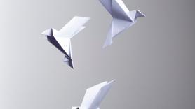 El japonés de 18 años que ha ganado 92.000 euros demostrando que el origami puede salvar vidas: "Una mariquita pliega sus alas con esos mismos patrones"