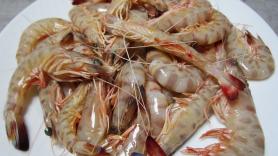 Los langostinos vencen a los cerdos y a los pollos como los animales más criados del mundo