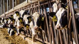 La herramienta con la que puedes ver cómo lo que vas a comer ahora afecta en la supervivencia de miles de especies en riesgo de extinción