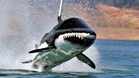 La moto de agua que vas a querer este verano... si puedes pagarla