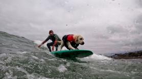 La playa de Pacífica acogió el Campeonato del Mundo de Surf para perros