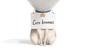 'Mascotas 2': nuestros adorables animales de compañía vuelven a revolucionarse