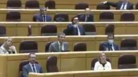 Los senadores del PP se levantan y se van indignados por el discurso de un miembro de Más Madrid