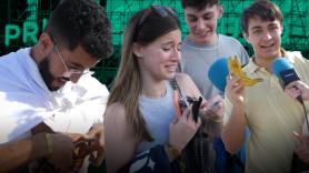 ¿Qué llevo en mi riñonera? (Edición Festival Primavera Sound 23)