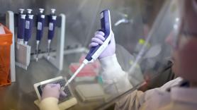 El Gobierno confina las explotaciones de aves de corral al aire libre por la gripe aviar