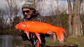 Lanza la última caña y atrapa "el pez de una vida" en el lago oculto a las puertas de España