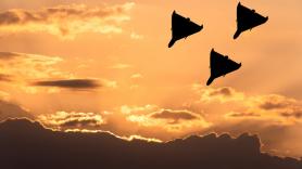 Otra señal del rearme tecnológico ruso: aparecen antenas anti-jamming de 12 elementos hasta en los drones Gerbera 'low cost'
