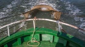 Un biólogo español, ante uno de los megabarcos más grandes del mundo de pesca de arrastre: “Esto no es sostenible, es un colapso ecológico acelerado”