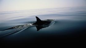 Los geólogos no dan crédito: una partícula 100.000 veces más energética que cualquier cosa producida en un colisionador atravesó el Mediterráneo y nadie sabe de dónde vino