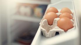 Ni en la puerta del frigorífico ni con la punta hacia arriba: sólo hay una forma correcta de guardar los huevos