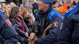 El tierno abrazo entre un perro y su guía policía en la fiesta de San Antón: "Verdadero amor"