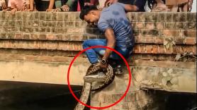 Un hombre saca a una pitón gigante de un canal y su hazaña se vuelve viral: "¡Increíble equilibrio y fuerza!"