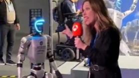 Una exhibición de robots humanoides en Barcelona termina en tragedia