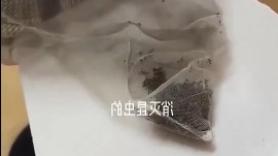 El truco definitivo que ha inventado esta persona para acabar con los mosquitos