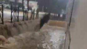Las impactantes imágenes de las calles de Gerena que parecen ríos tras las intensas lluvias