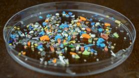 Confirmado por la ciencia: la carga de microplásticos en el cerebro ya es una emergencia sanitaria que se vincula con ictus y demencia