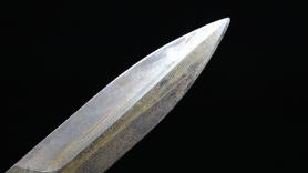 Descubre por casualidad una espada de 1.000 años de antigüedad casi intacta mientras pescaba