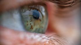 Un fósil de 518 millones de años revela que un pariente humano lejano tenía cuatro ojos