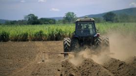Un agricultor se harta de las malas hierbas y desarrolla un poderoso robot que acaba con ellas a golpe de láser