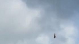 La cebra voladora: se escapa de su establo y la rescatan con un avión